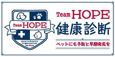 TeamHOPENff